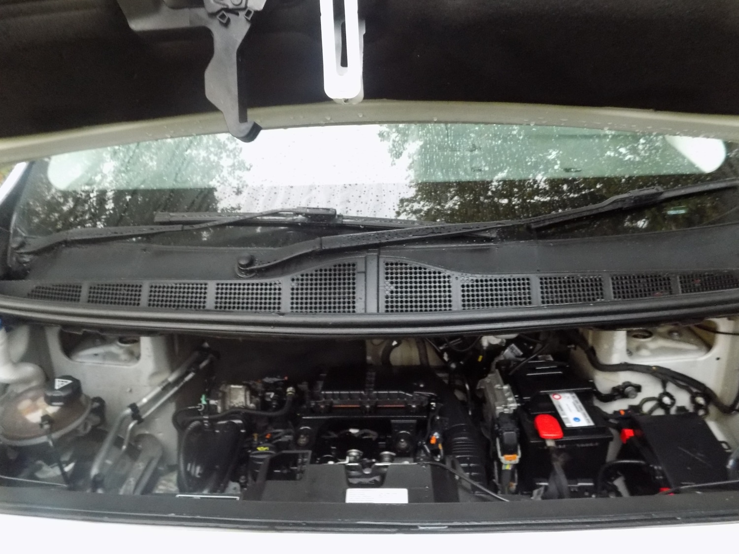 Used Citroen Dispatch 2019 for sale - 76046694: Photo 33