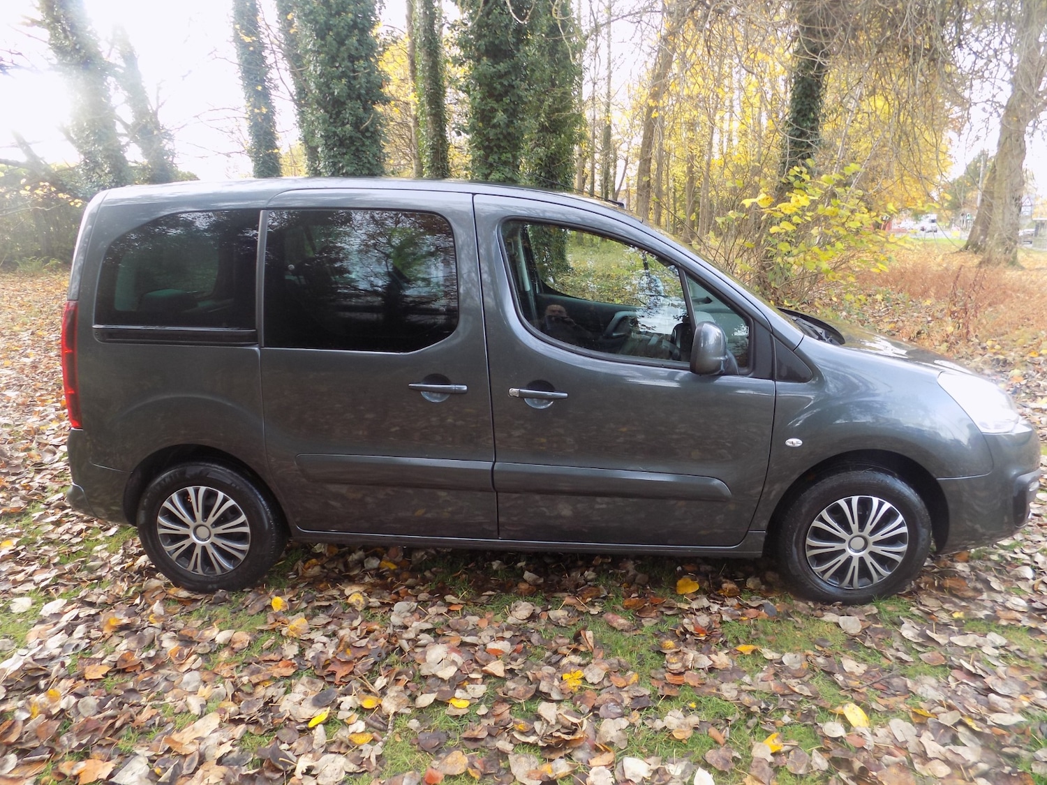 Used Peugeot Partner Tepee 2018 for sale - 76464020: Photo 13