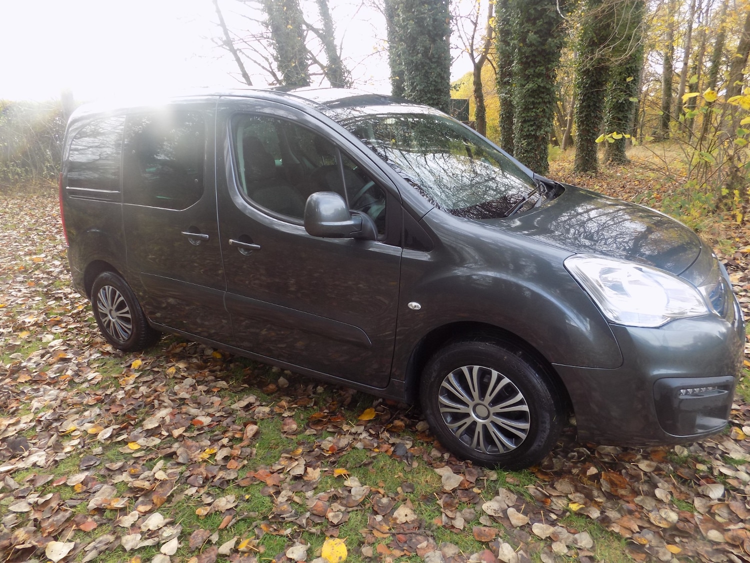 Used Peugeot Partner Tepee 2018 for sale - 76464020: Photo 14