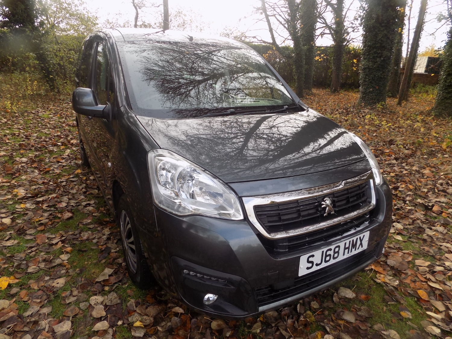 Used Peugeot Partner Tepee 2018 for sale - 76464020: Photo 2