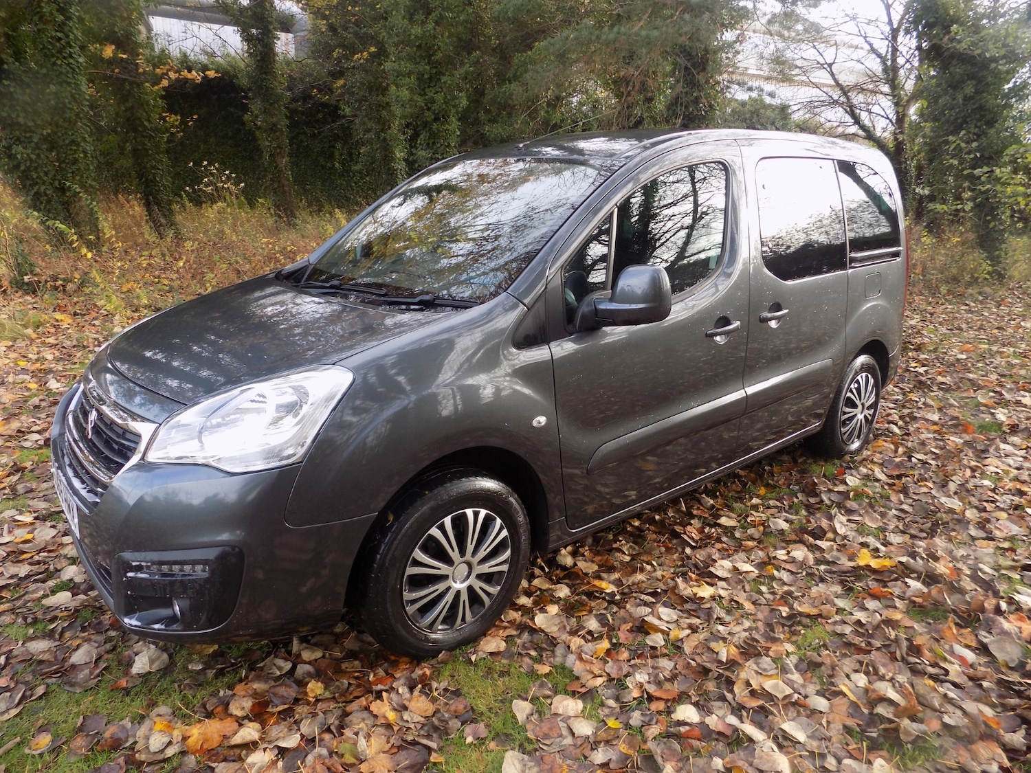 Used Peugeot Partner Tepee 2018 for sale - 76464020: Photo 5