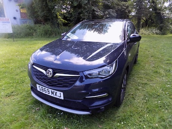 Used Vauxhall Grandland X 2019 for sale - 79163065: Photo