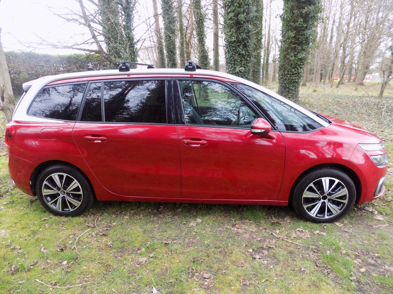 Used Citroen Grand C4 Picasso 2018 for sale - 77996967: Photo 14