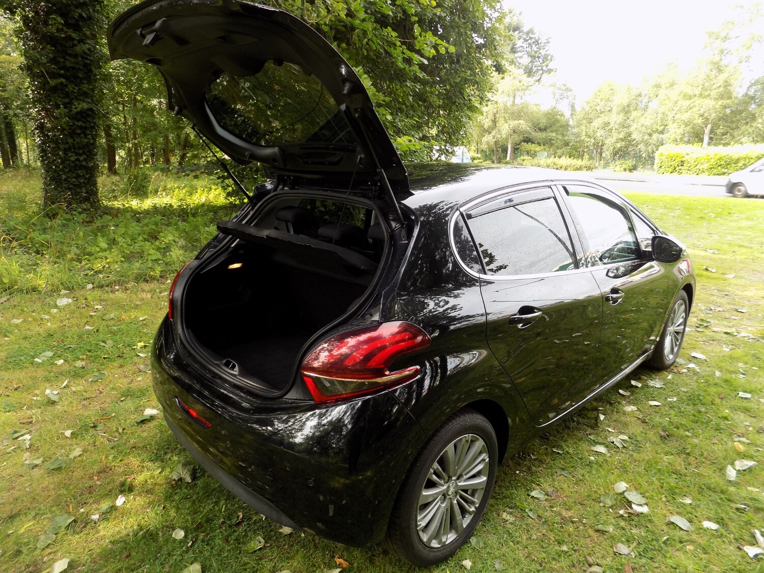 Vehicle 29