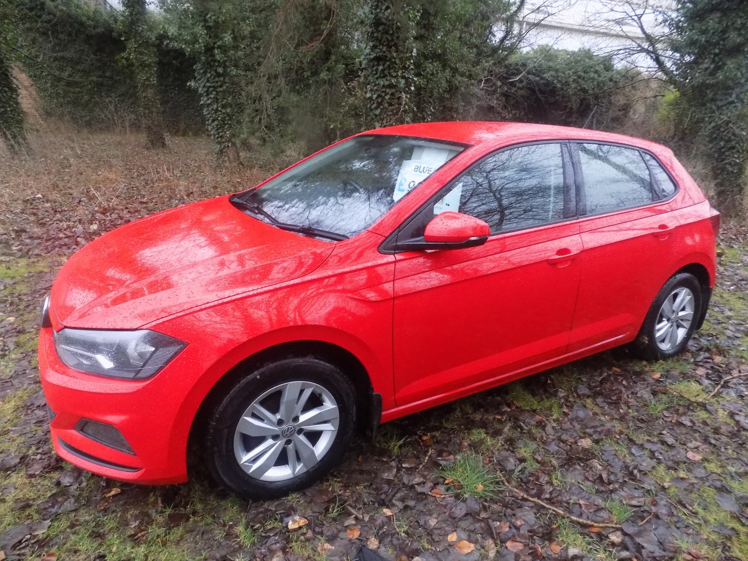 Used Volkswagen Polo 2019 for sale - 77431675: Photo 5