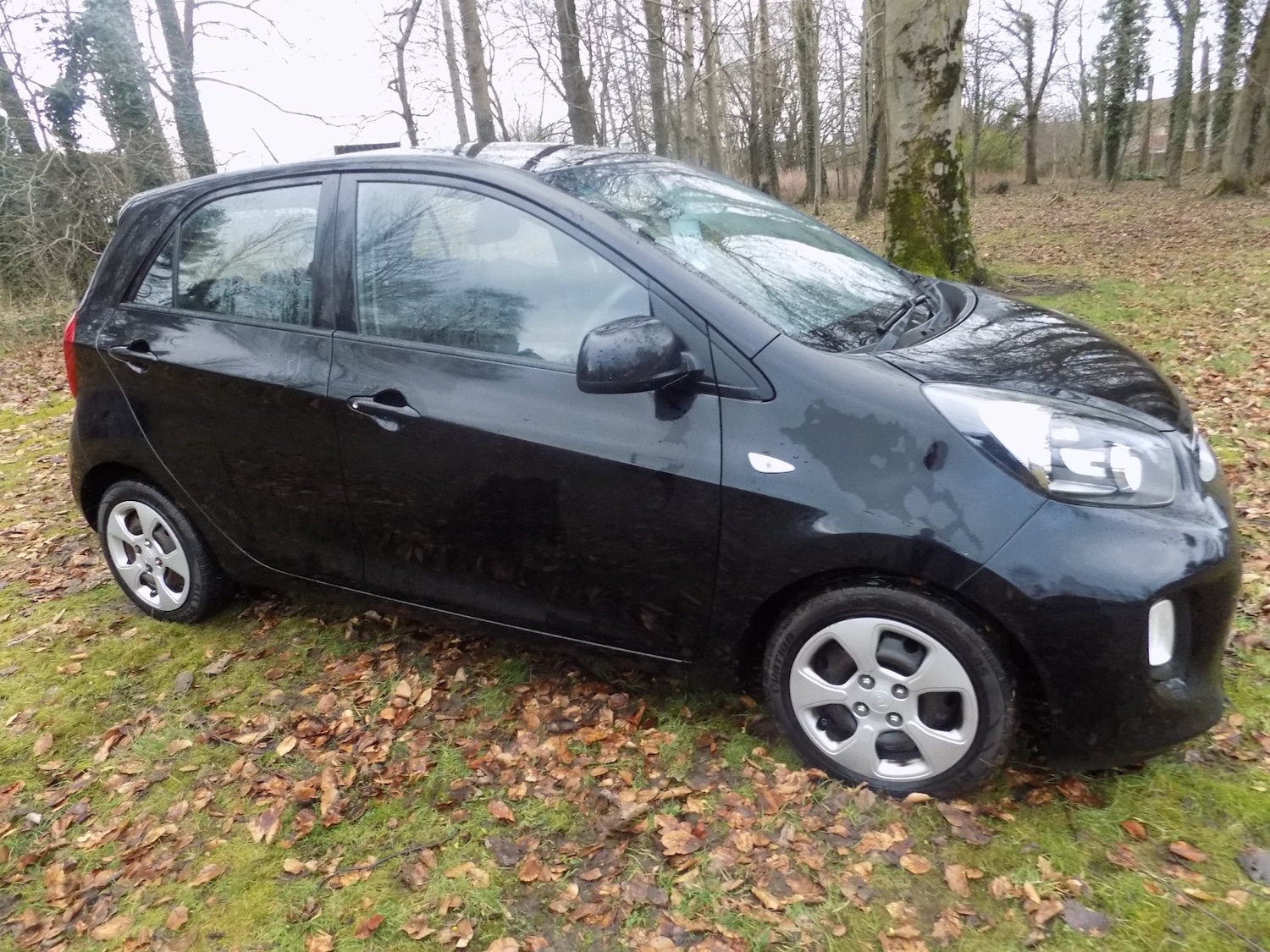 Used Kia Picanto 2016 for sale - 77650257: Photo 13