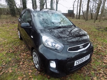 Used Kia Picanto 2016 for sale - 77650257: Photo