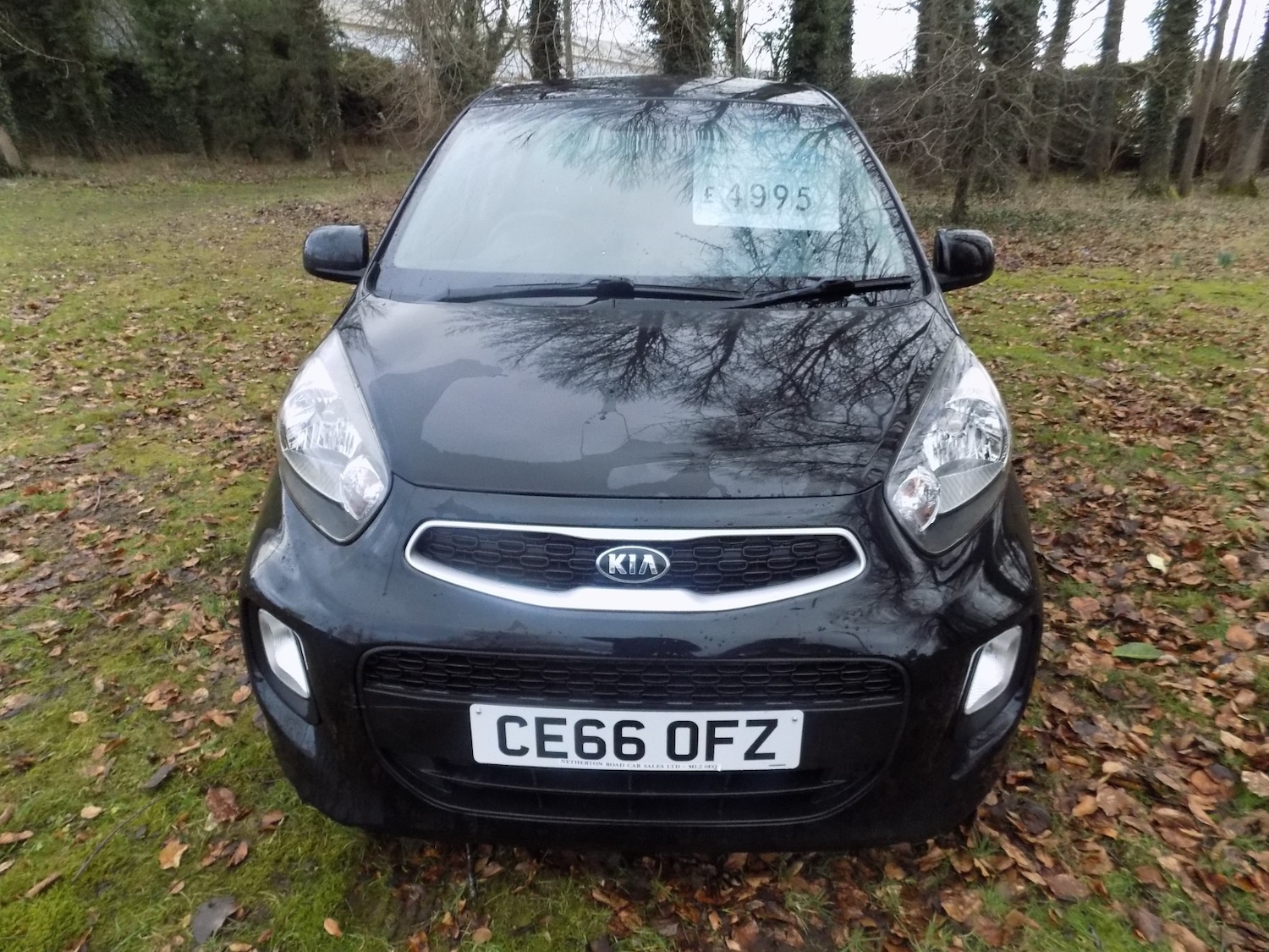 Used Kia Picanto 2016 for sale - 77650257: Photo 3