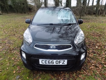 Used Kia Picanto 2016 for sale - 77650257: Photo