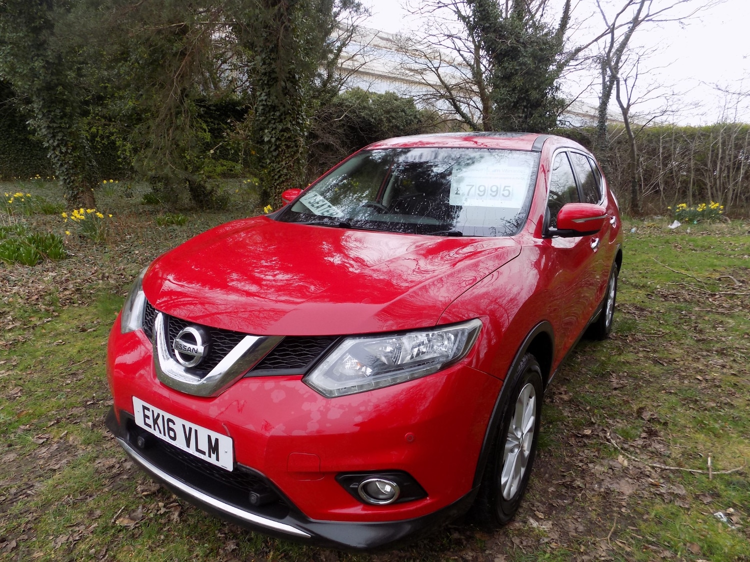 Used Nissan X-Trail 2016 for sale - 77997041: Photo 4