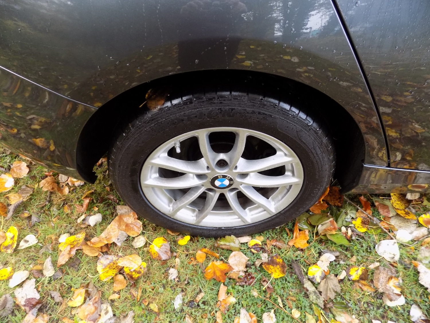 Used BMW 1 Series 2019 for sale - 76329664: Photo 31