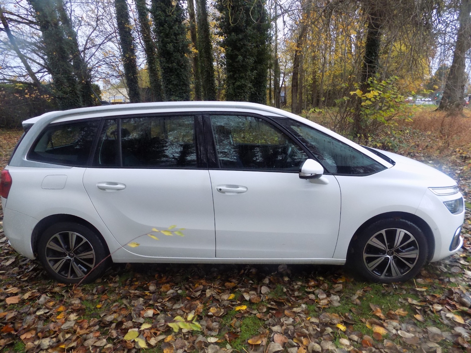 Used Citroen C4 Grand Picasso 2017 for sale - 76461281: Photo 13