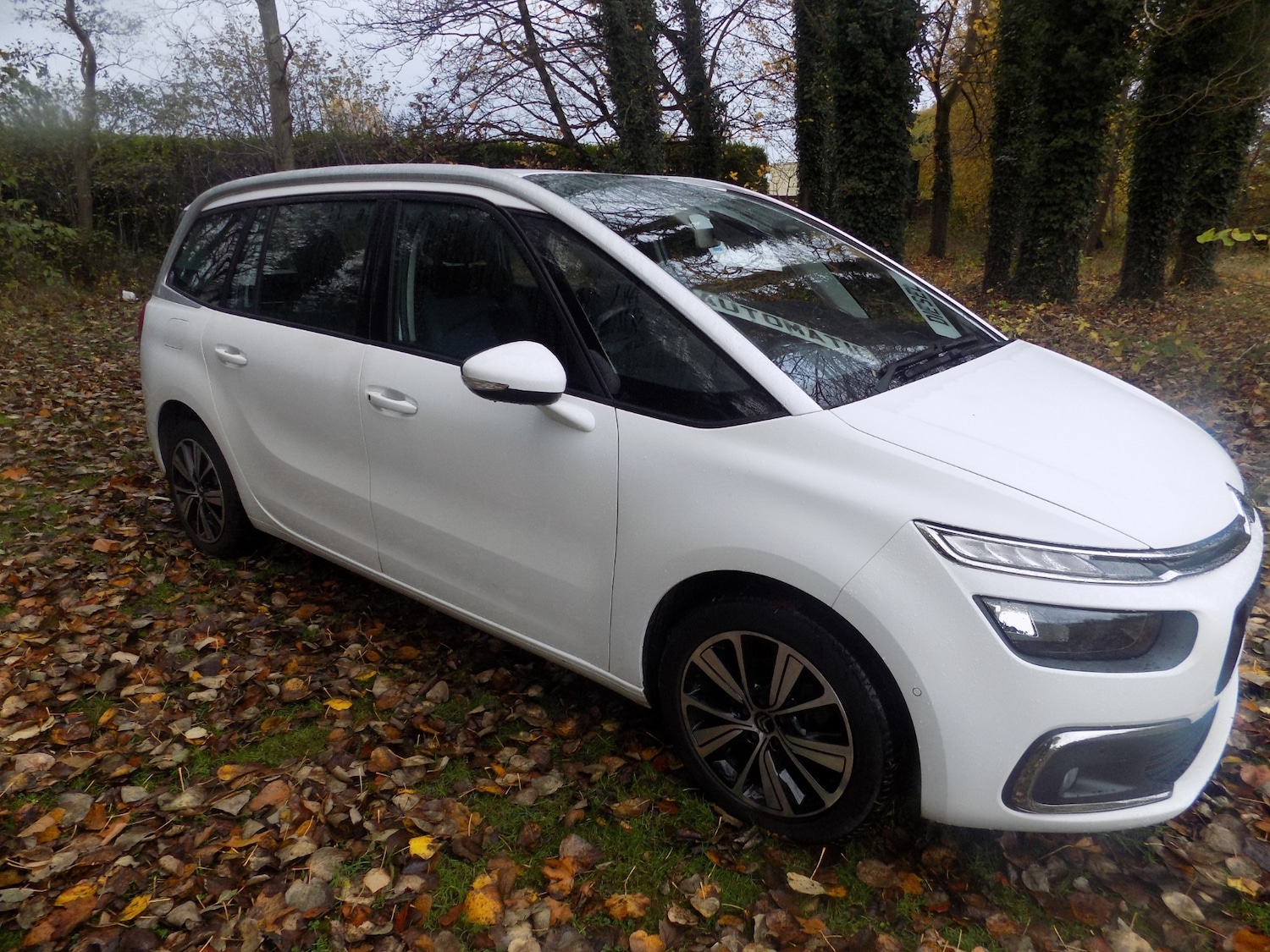 Used Citroen C4 Grand Picasso 2017 for sale - 76461281: Photo 14