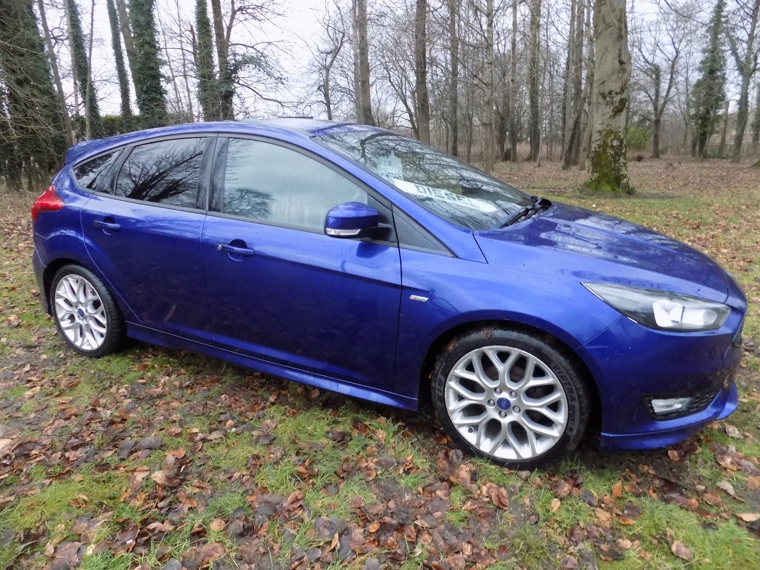 Used Ford Focus 2017 for sale - 77504051: Photo 12
