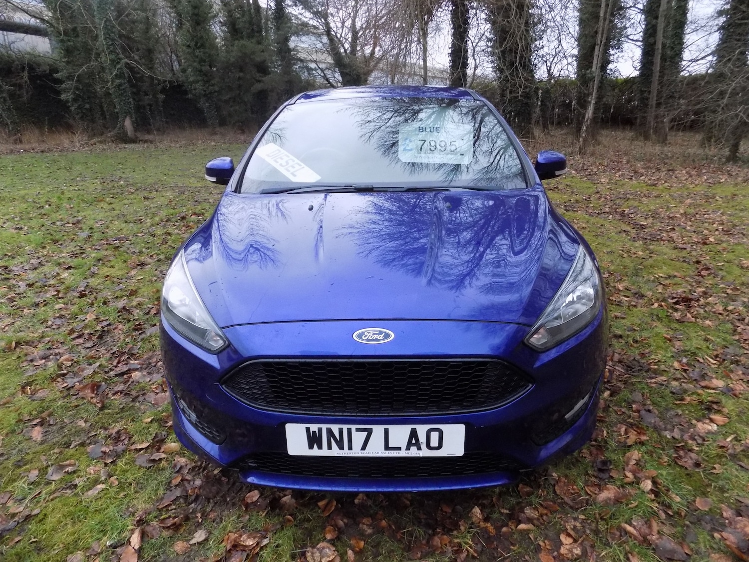 Used Ford Focus 2017 for sale - 77504051: Photo 3