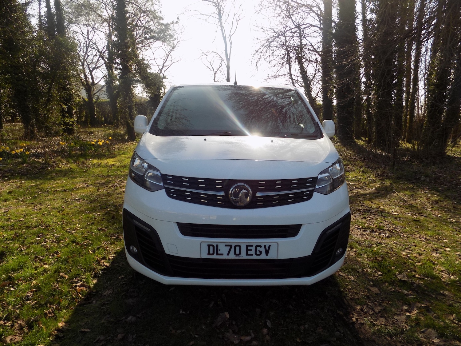 Used Vauxhall Vivaro 2020 for sale - 78014621: Photo 3