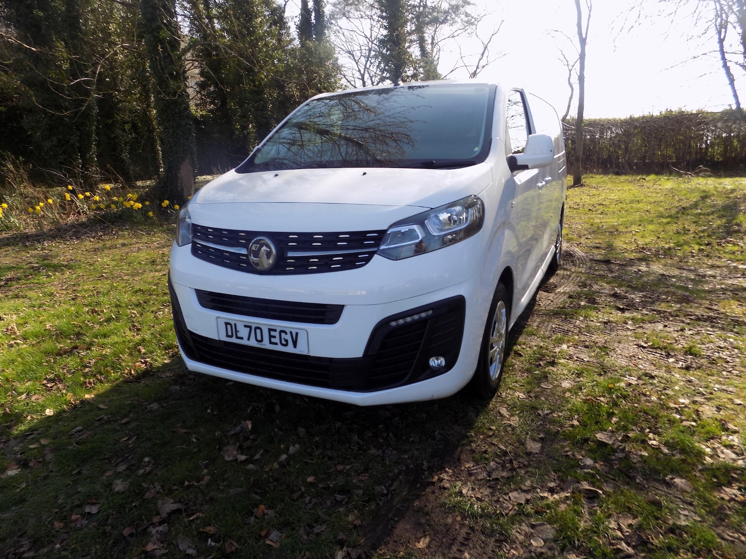 Used Vauxhall Vivaro 2020 for sale - 78014621: Photo 4