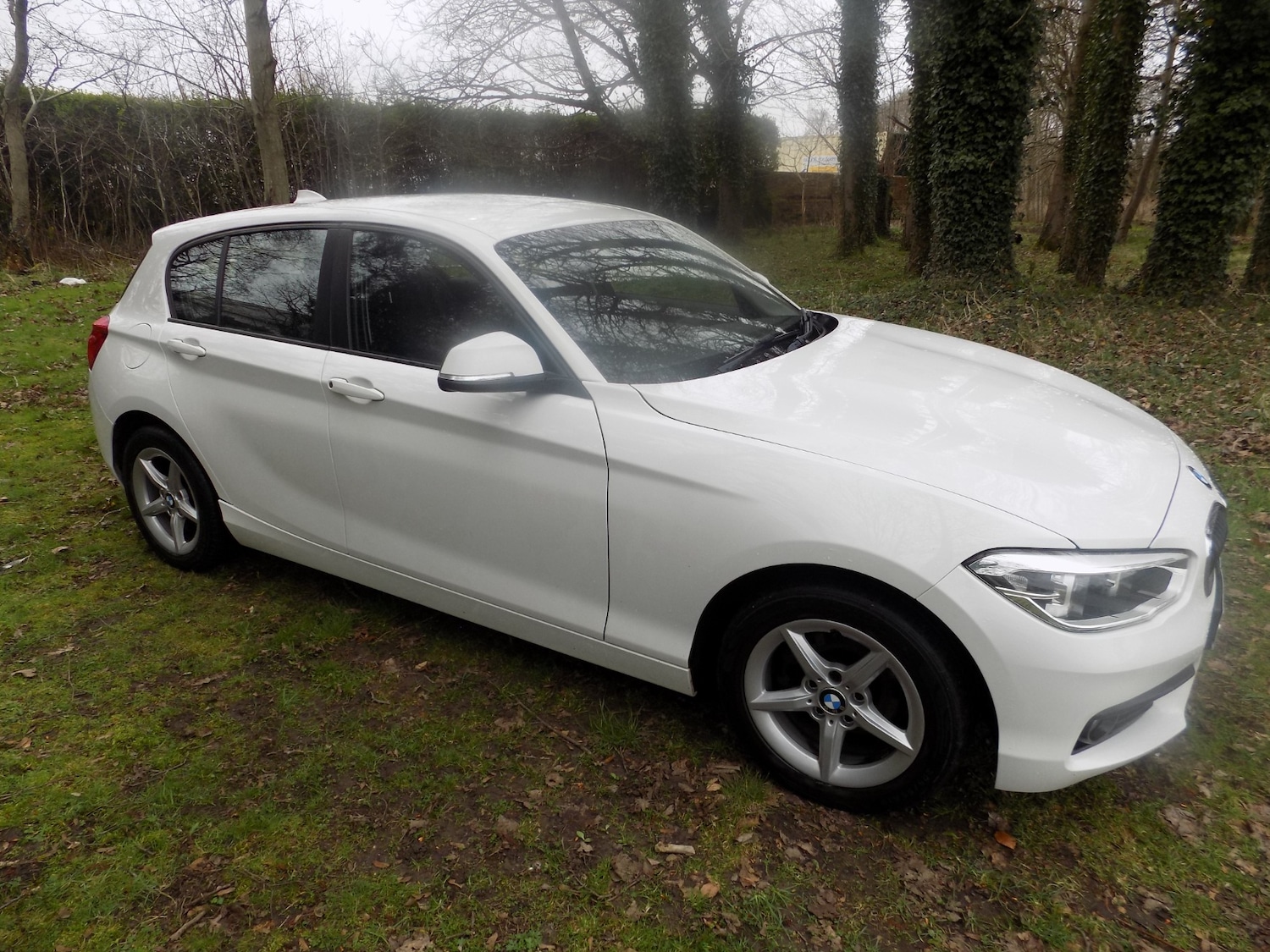 Used BMW 1 Series 2017 for sale - 77998786: Photo 14