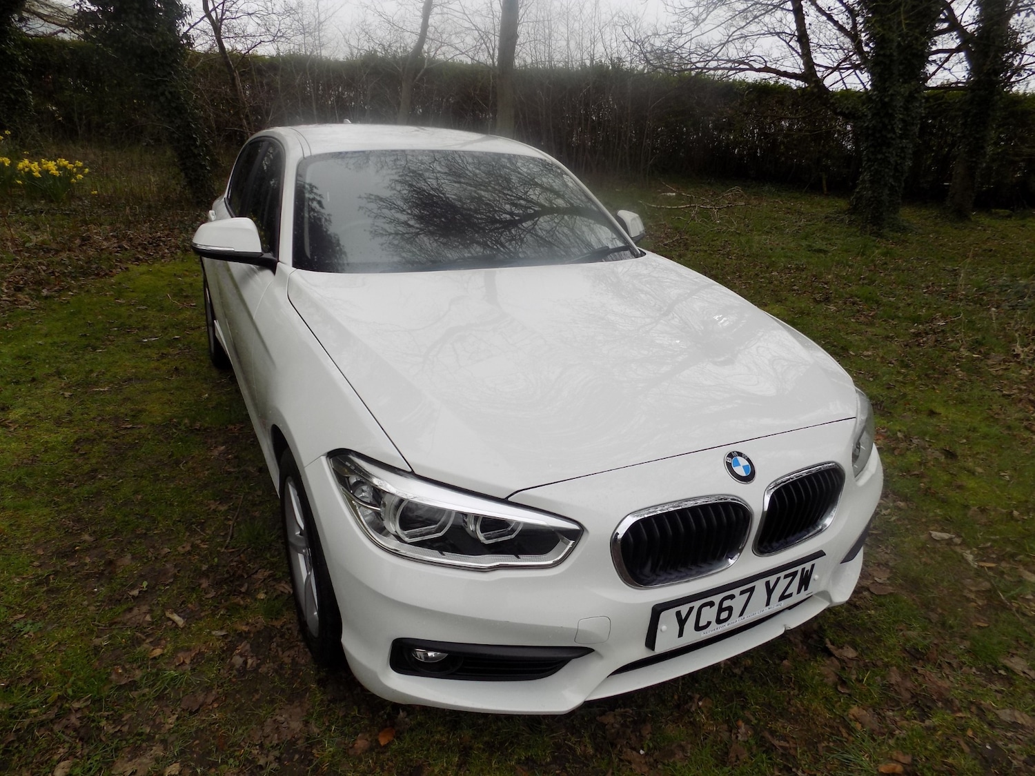 Used BMW 1 Series 2017 for sale - 77998786: Photo 2