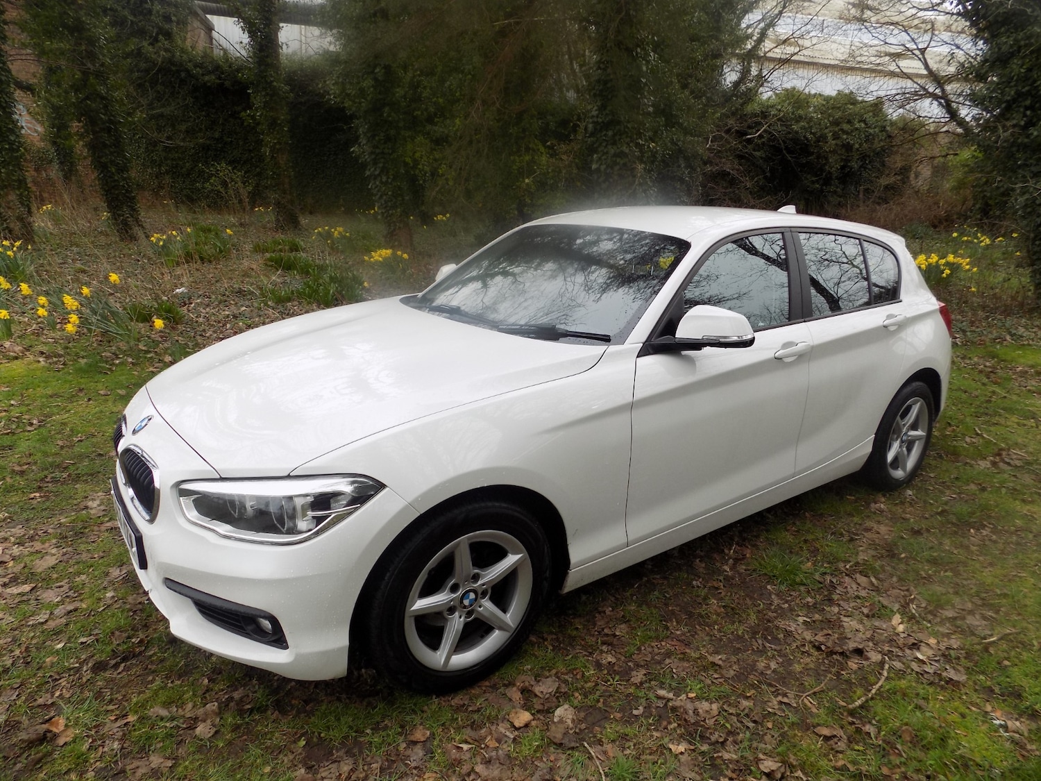 Used BMW 1 Series 2017 for sale - 77998786: Photo 5