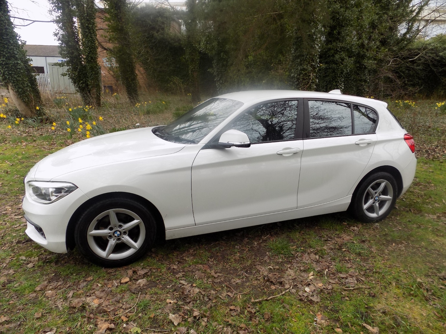 Used BMW 1 Series 2017 for sale - 77998786: Photo 6
