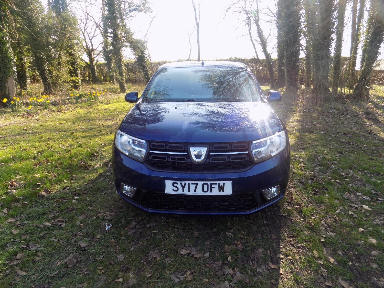 Used Dacia Sandero 2017 for sale - 77965306: Photo 4