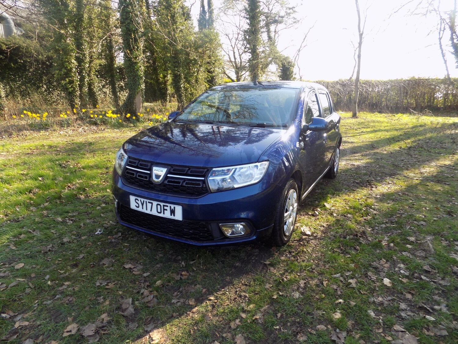 Used Dacia Sandero 2017 for sale - 77965306: Photo 5