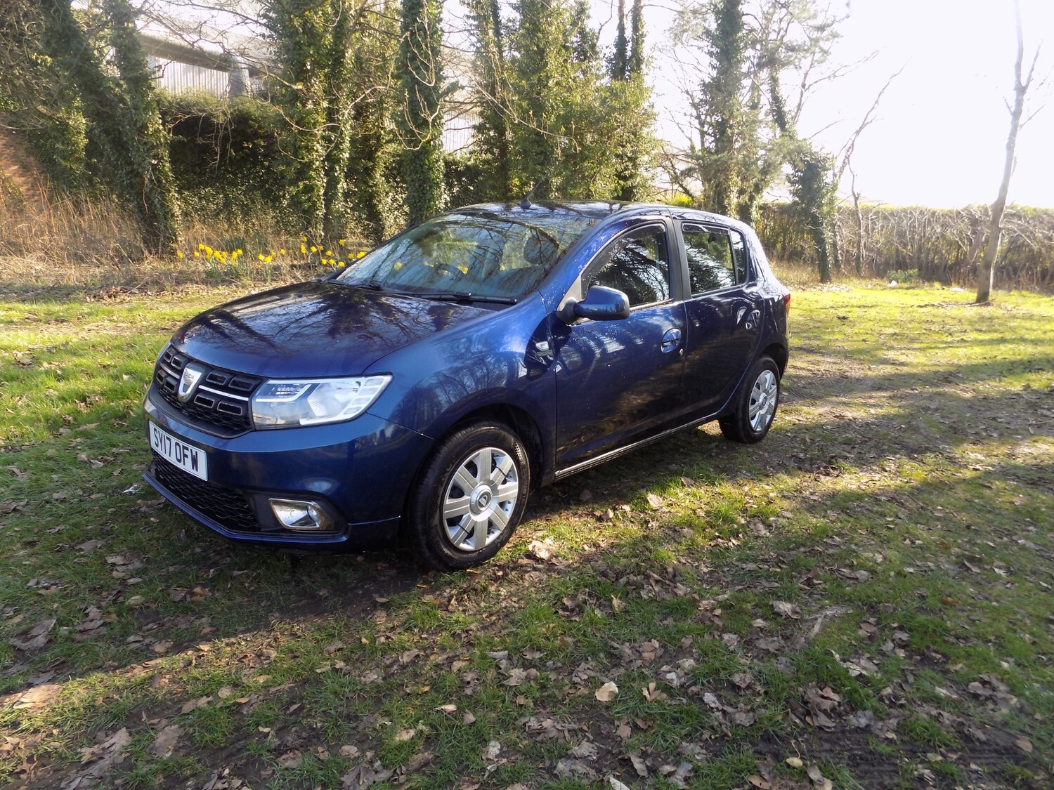 Used Dacia Sandero 2017 for sale - 77965306: Photo 6