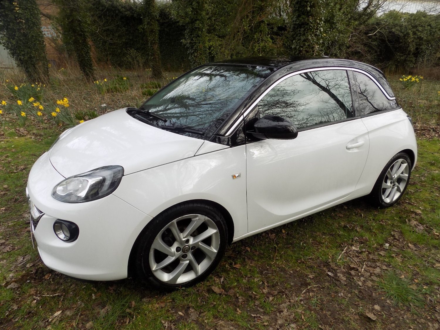 Used Vauxhall ADAM 2017 for sale - 77997301: Photo 5