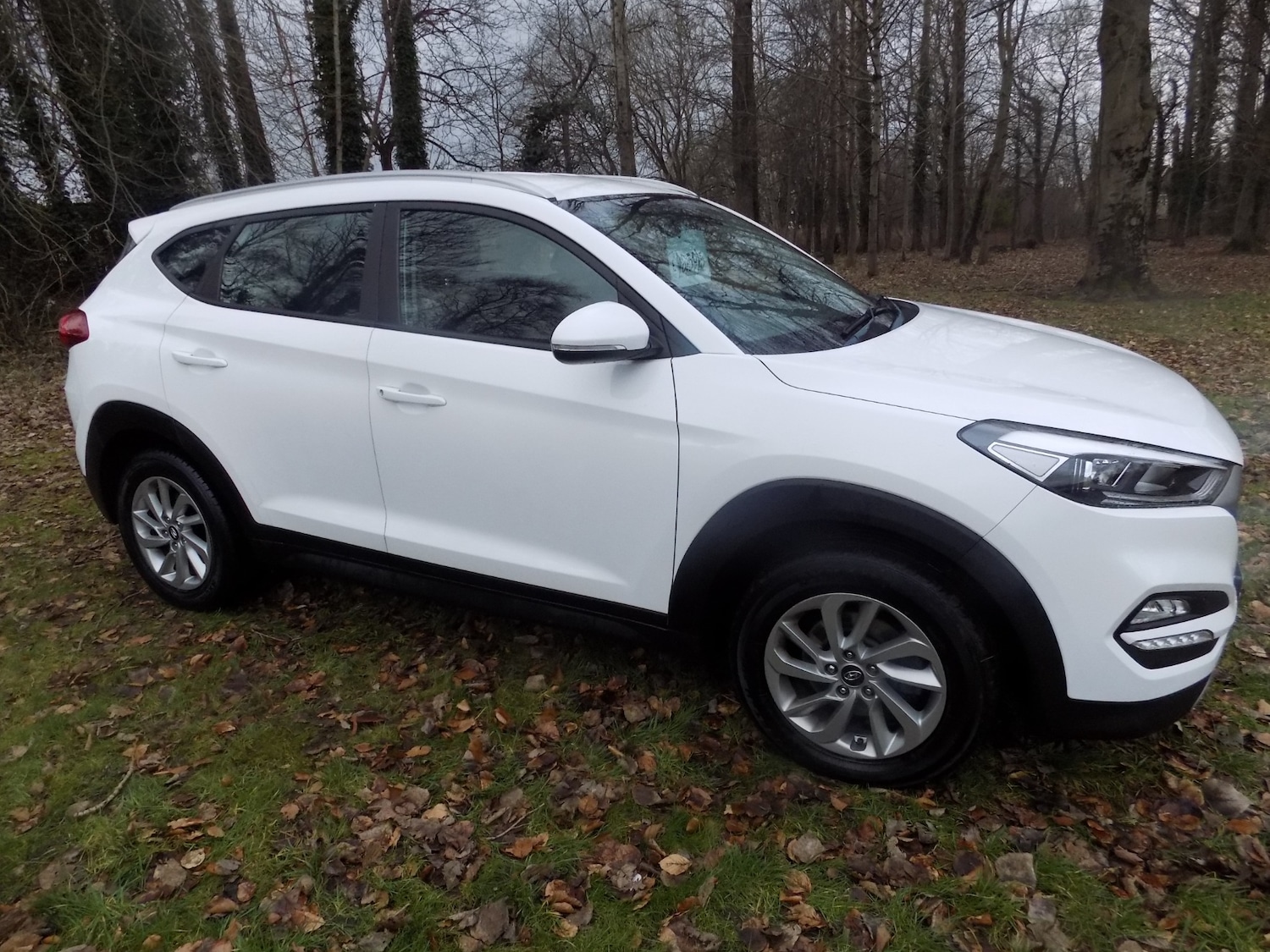 Used Hyundai TUCSON 2017 for sale - 77446326: Photo 13