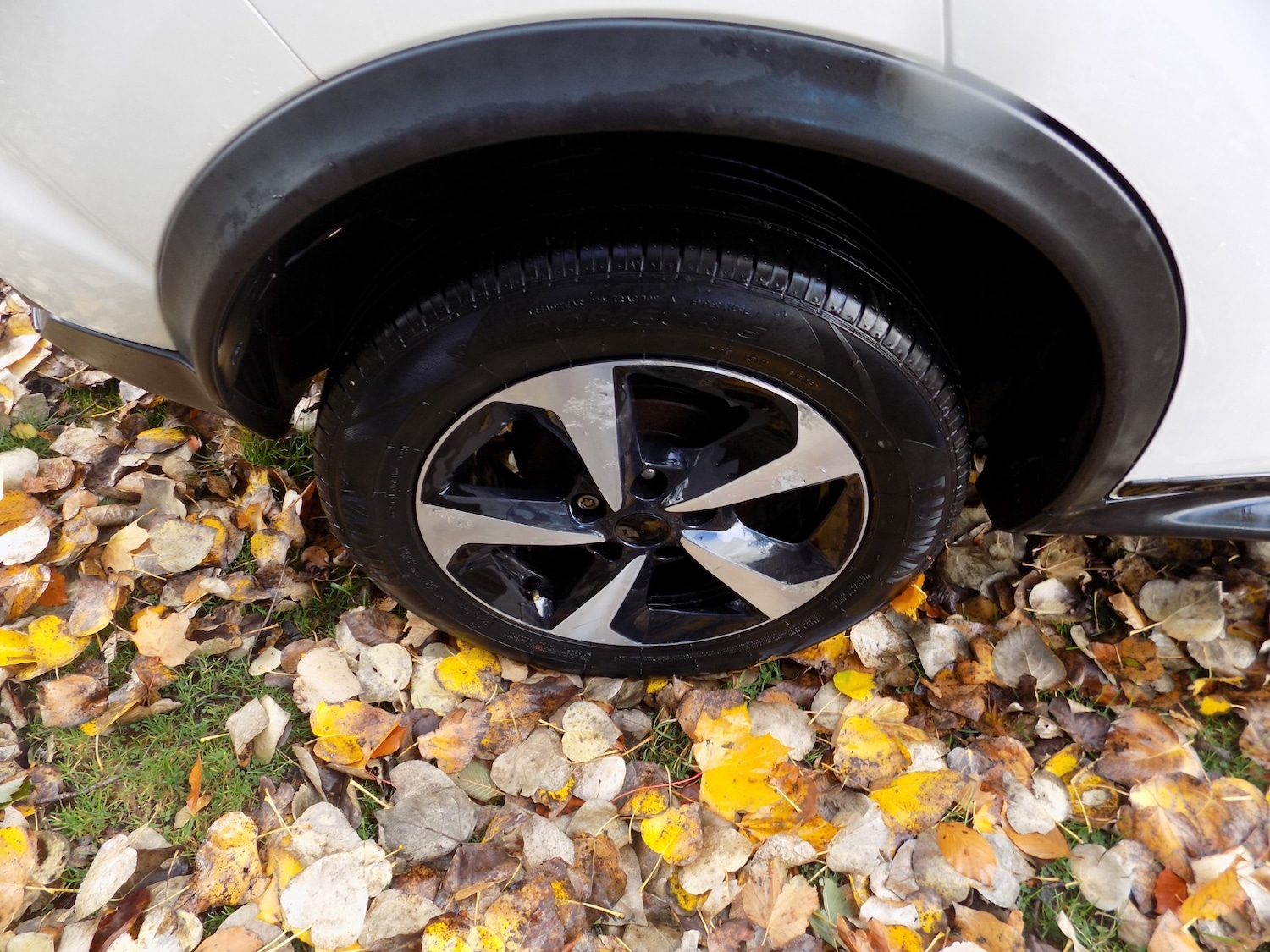 Used Nissan Juke 2019 for sale - 76402466: Photo 27