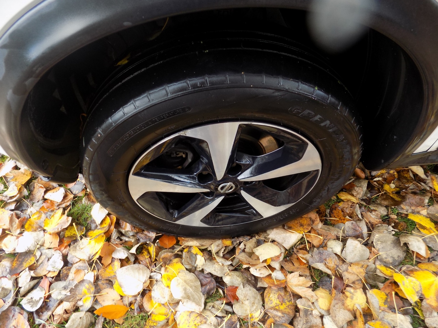 Used Nissan Juke 2019 for sale - 76402466: Photo 29