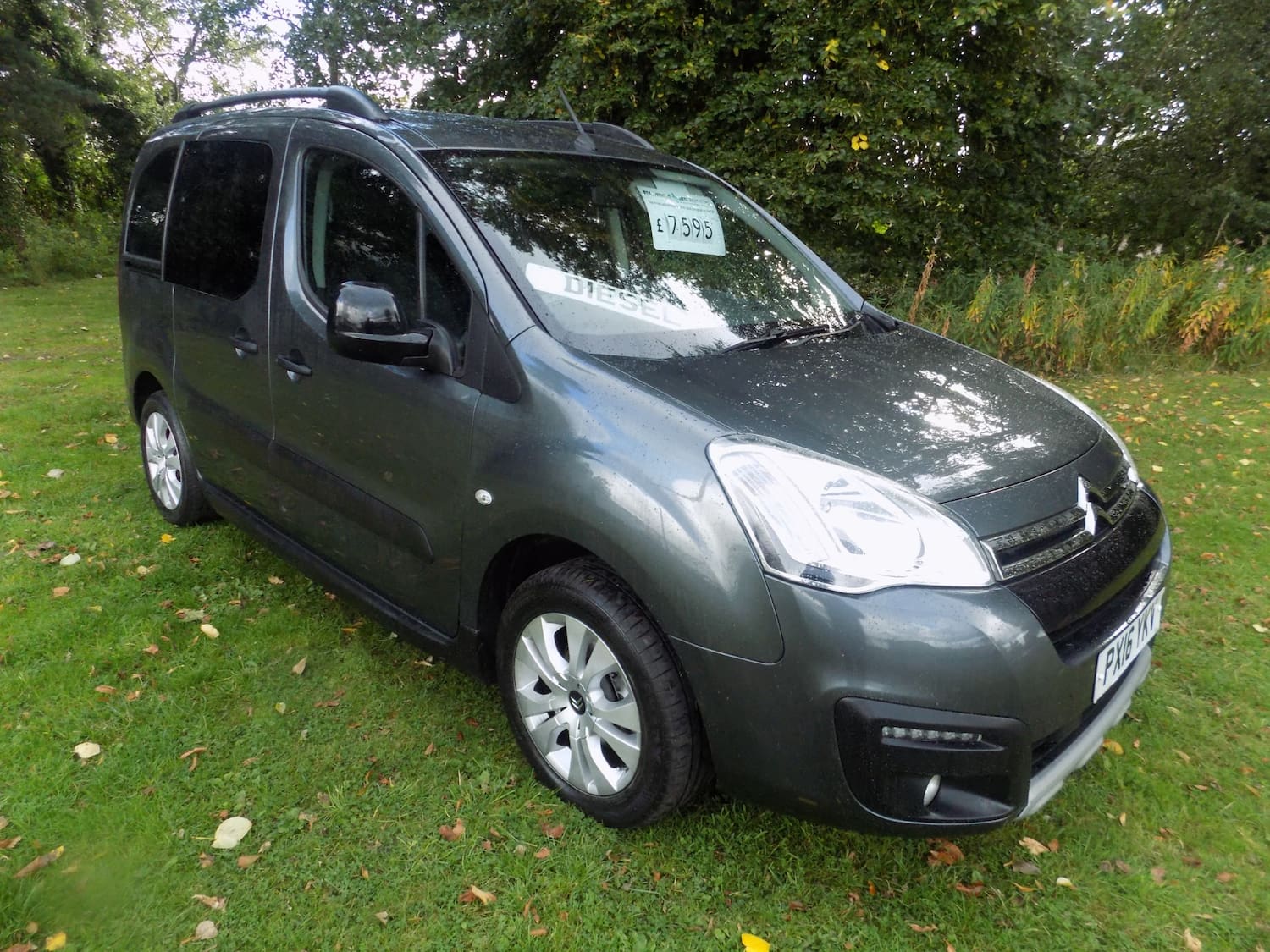 Citroen Berlingo Multispace