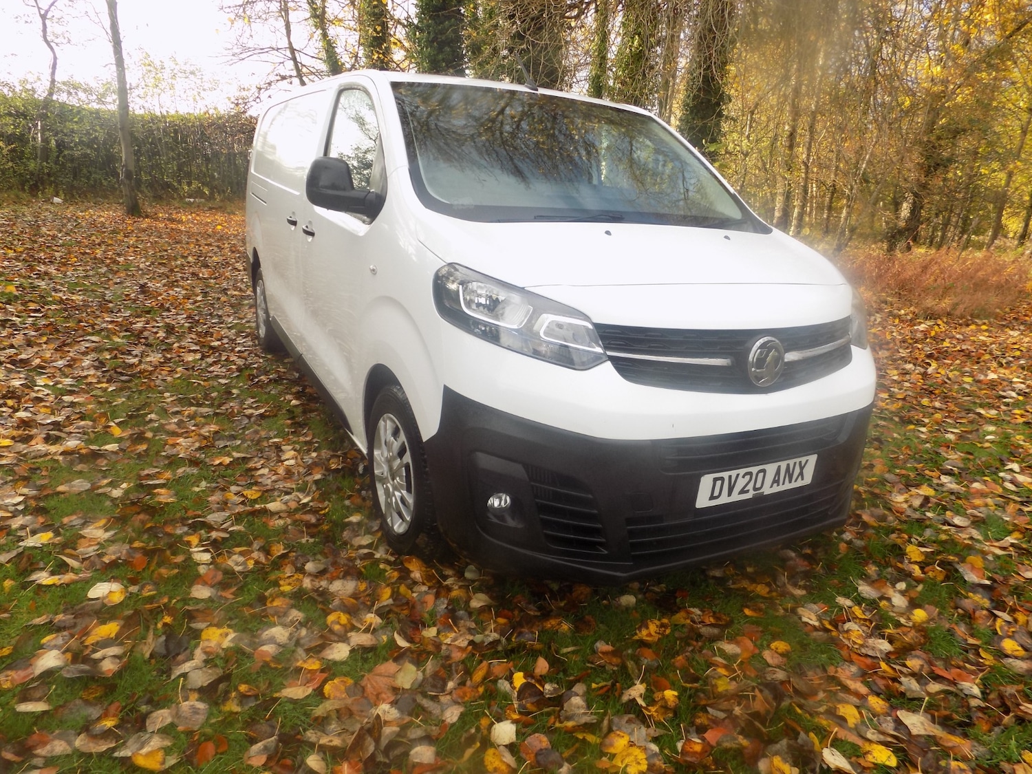 Used Vauxhall Vivaro 2020 for sale - 76426101: Photo 2