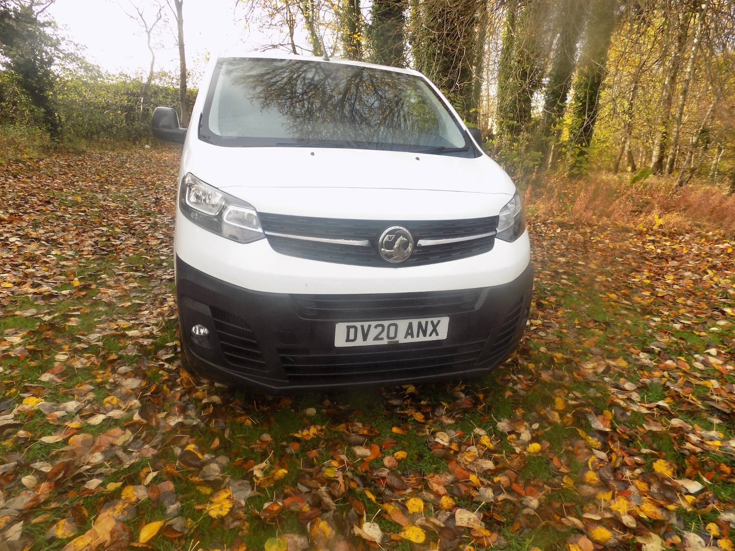 Used Vauxhall Vivaro 2020 for sale - 76426101: Photo 3