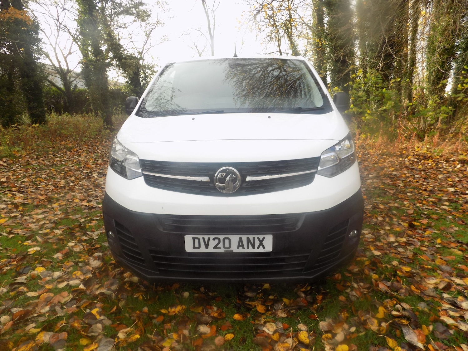 Used Vauxhall Vivaro 2020 for sale - 76426101: Photo 4