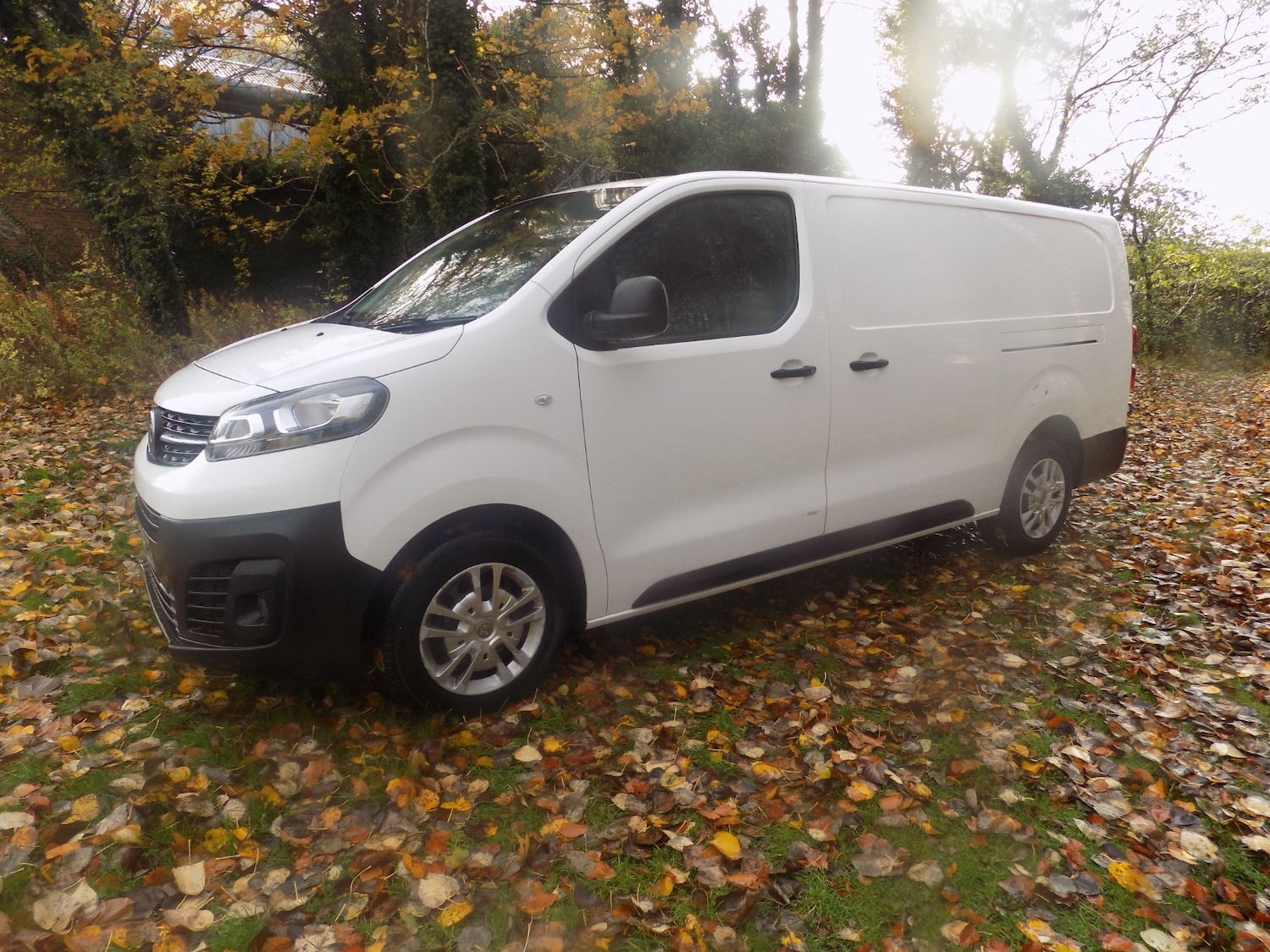 Used Vauxhall Vivaro 2020 for sale - 76426101: Photo 7