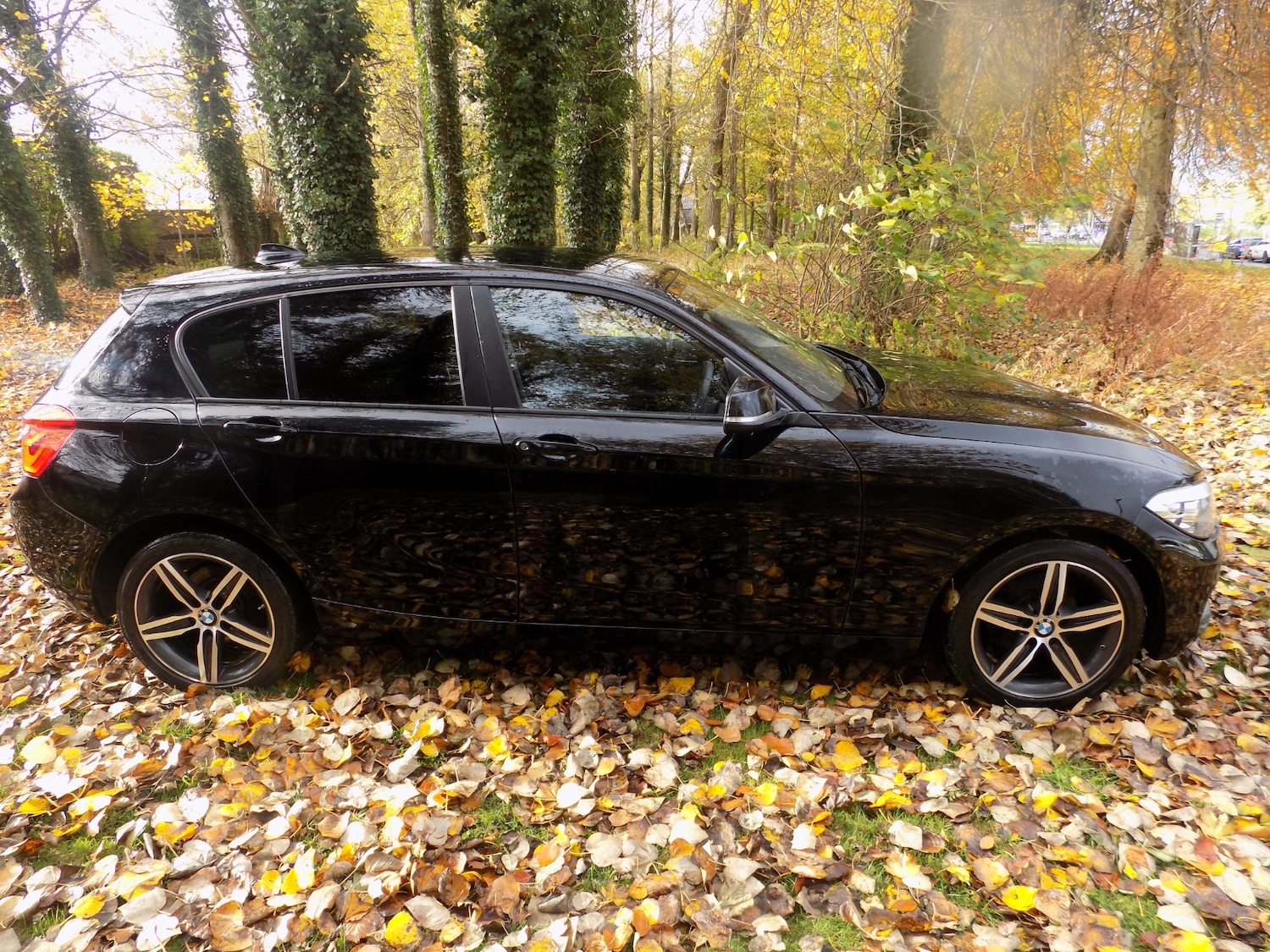 Used BMW 1 Series 2019 for sale - 76402279: Photo 13