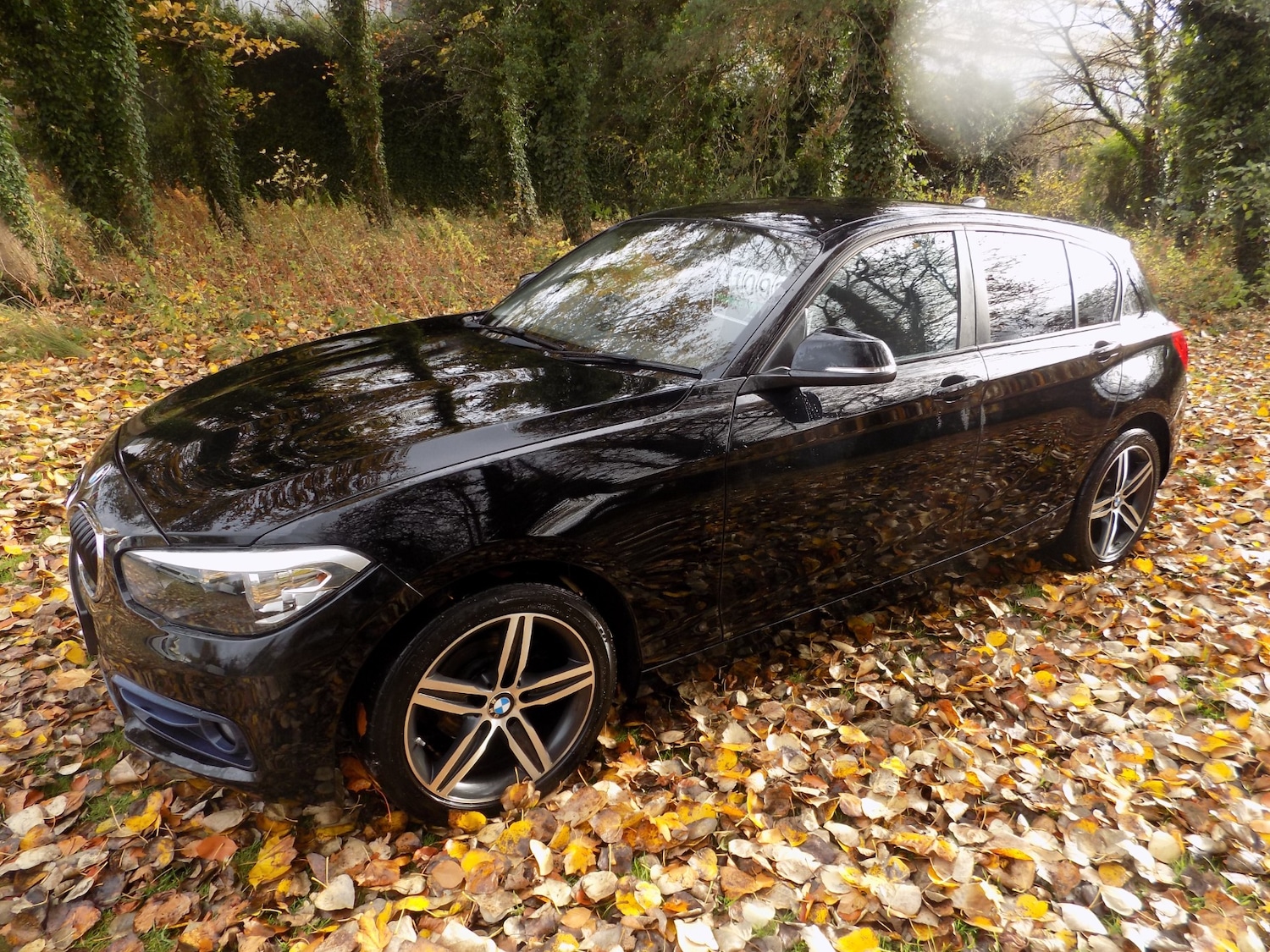 Used BMW 1 Series 2019 for sale - 76402279: Photo 5