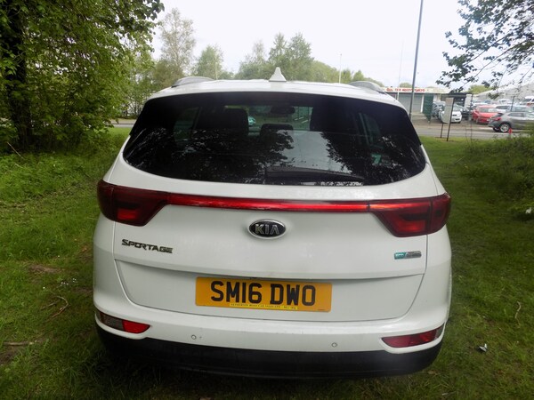 Used Kia Sportage 2016 for sale - 74576577: Photo 10