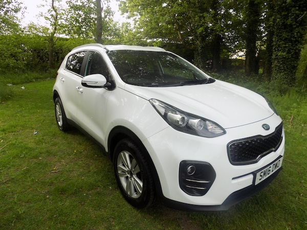 Used Kia Sportage 2016 for sale - 74576577: Photo 1