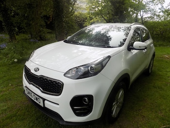 Used Kia Sportage 2016 for sale - 74576577: Photo