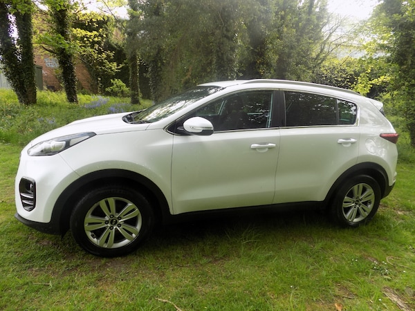 Used Kia Sportage 2016 for sale - 74576577: Photo 6