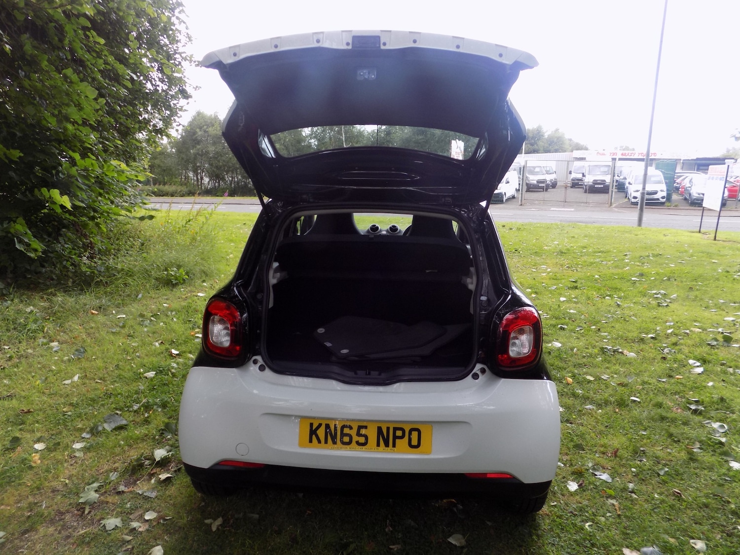 Vehicle 29
