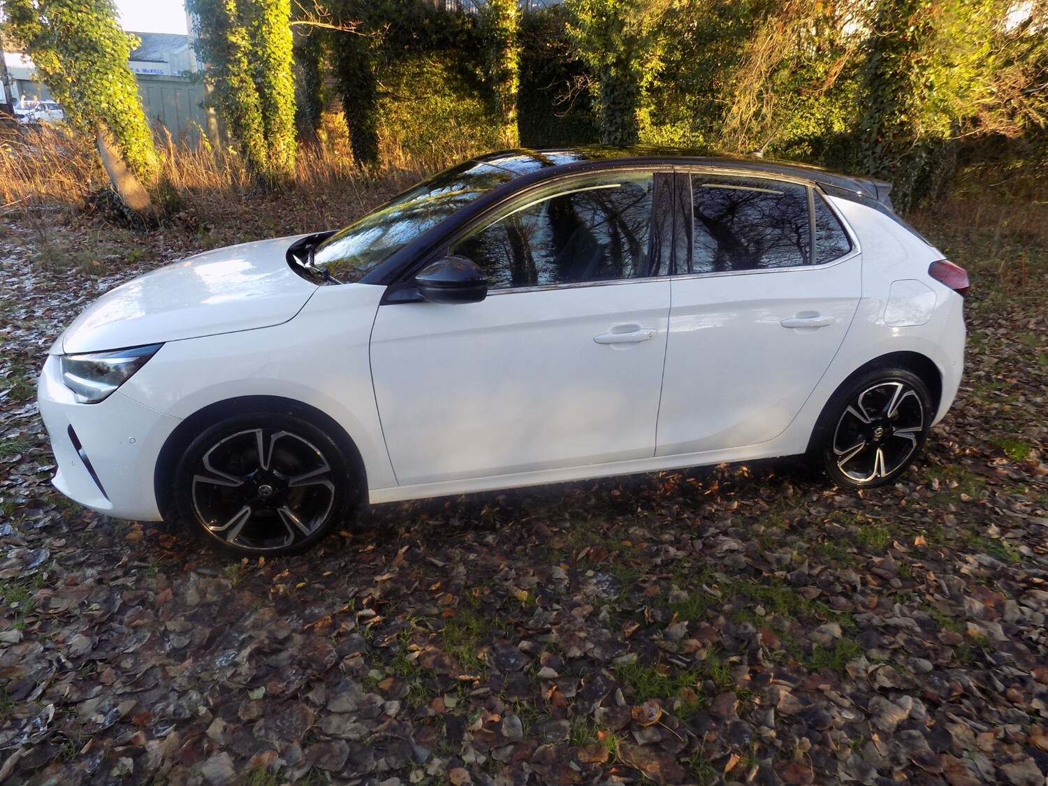 Used Vauxhall Corsa 2022 for sale - 76638700: Photo 6