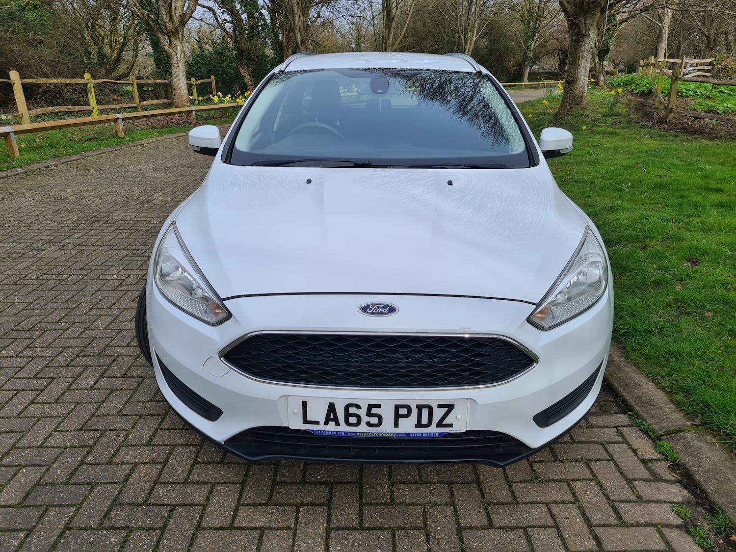 Used Ford Focus 2021 for sale - 77938248: Photo 14