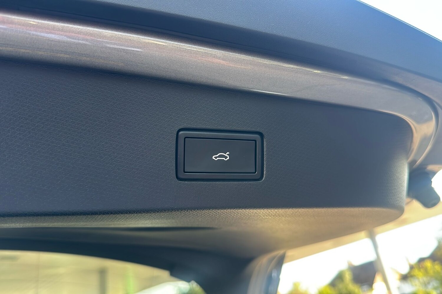 Used Cupra Tavascan 2024 for sale - 75792355: Photo 15