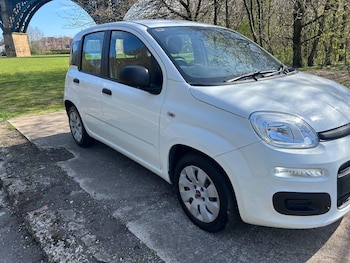 Used Fiat Panda 2015 for sale - 78153385: Photo