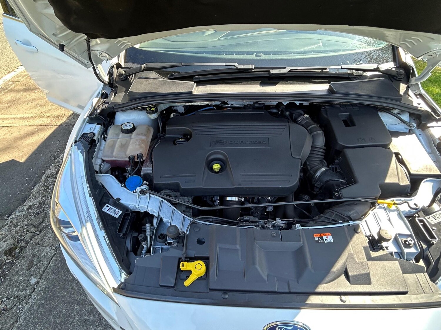 Used Ford Focus 2016 for sale - 78153384: Photo 46