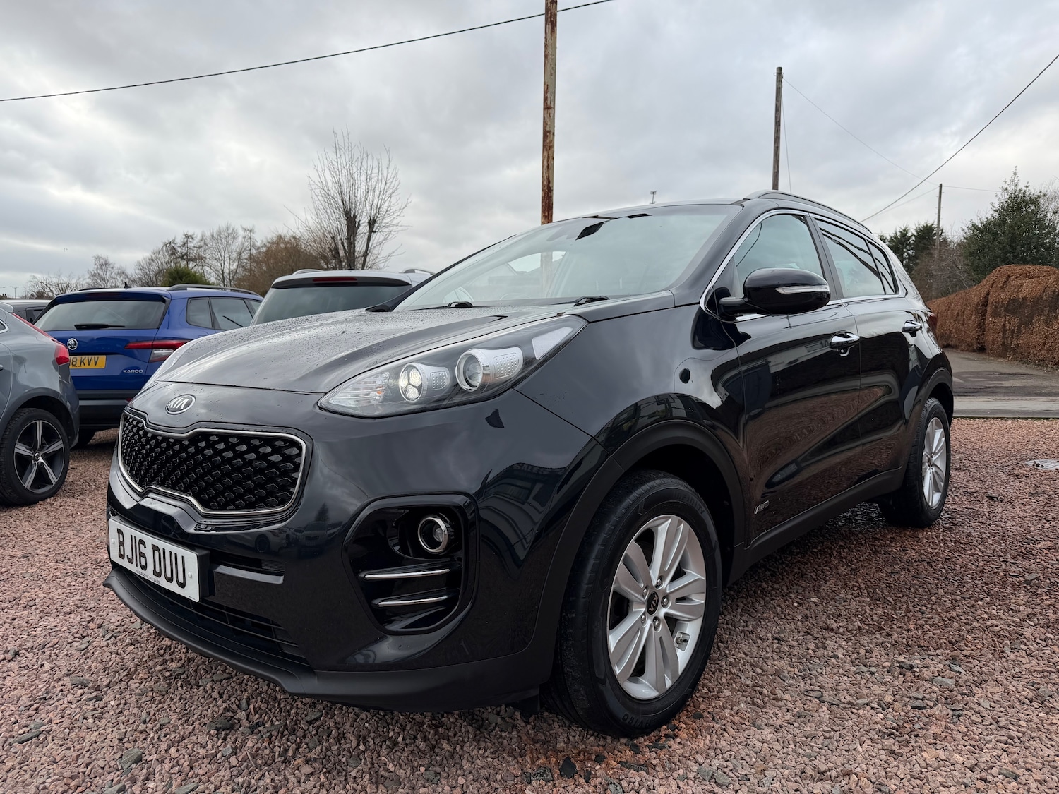 Used Kia Sportage 2016 for sale - 77608026: Photo 5